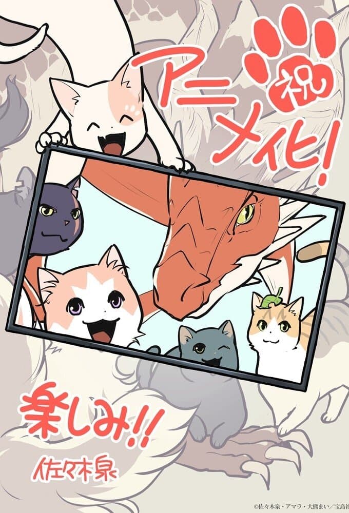 Okładka: The Cat and the Dragon