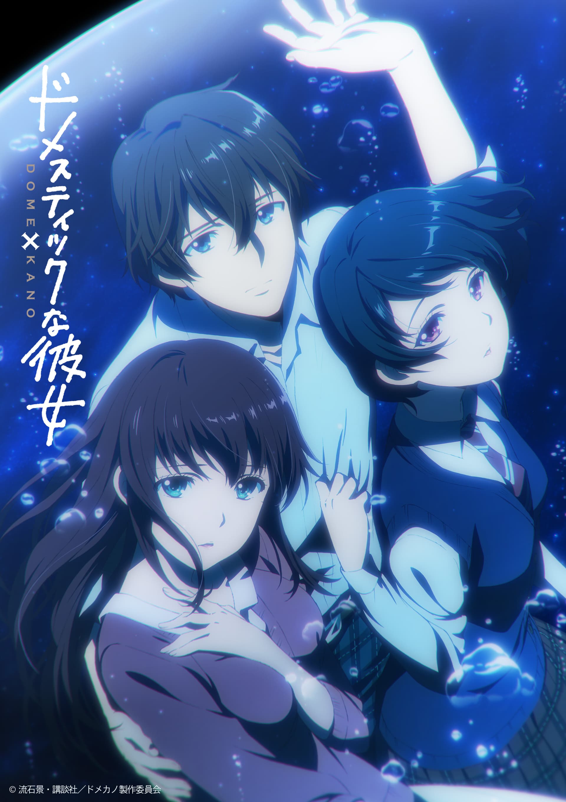 Okładka: Domestic Girlfriend